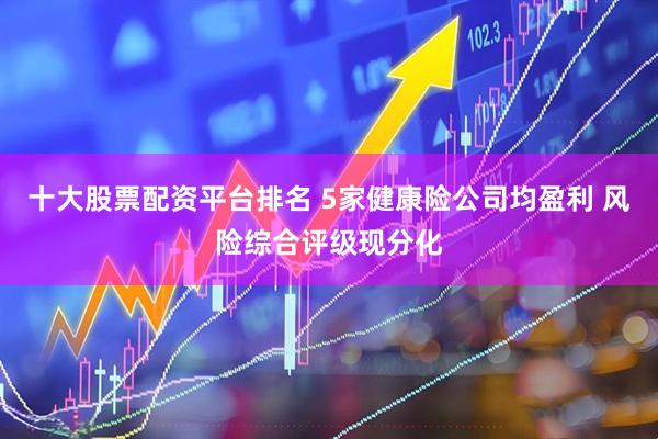 十大股票配资平台排名 5家健康险公司均盈利 风险综合评级现分化