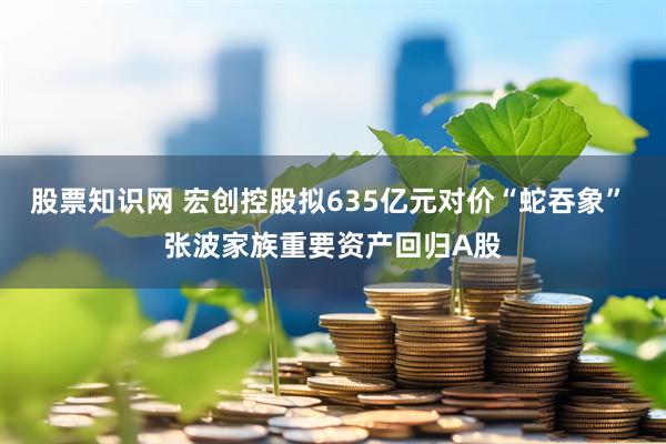股票知识网 宏创控股拟635亿元对价“蛇吞象” 张波家族重要资产回归A股