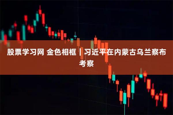 股票学习网 金色相框｜习近平在内蒙古乌兰察布考察